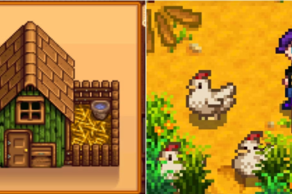 coop stardew valley