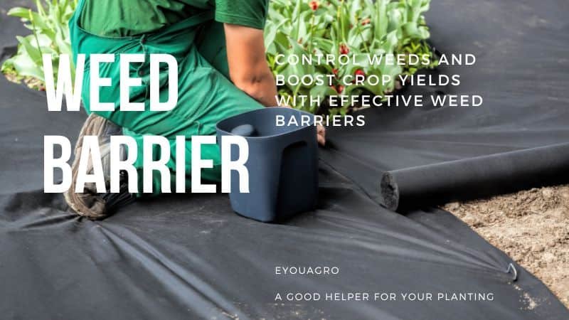 https://conservationgardenpark.org/blog/354/why-weed-barrier-fabric-is-a-weed